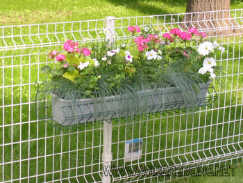 garden fence