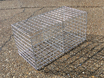 gabion box