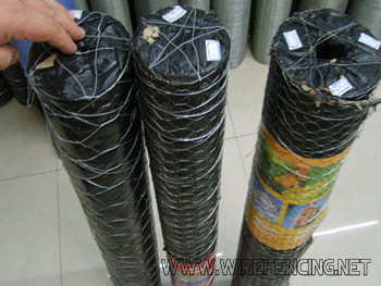 hexagonal wire mesh