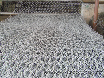 hexagonal wire mesh