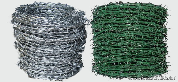 barbed wire